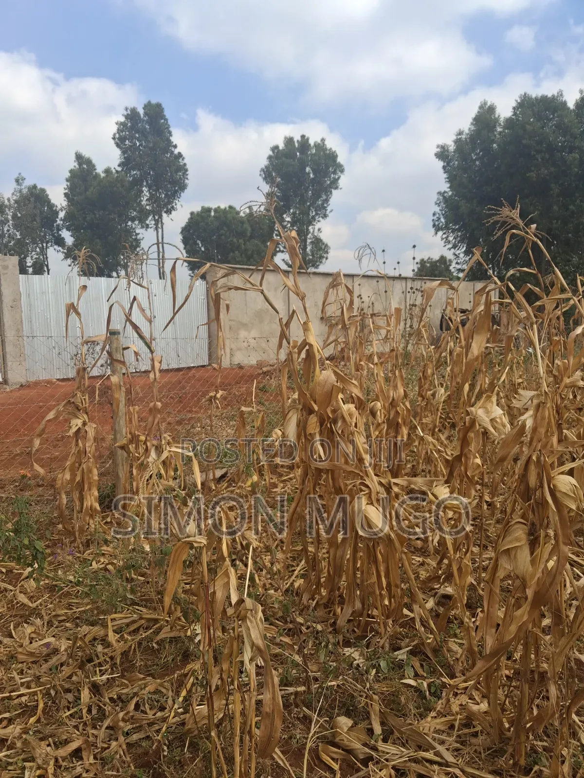Valley View Kiambu Rd Prime Well Drained Red Soil 1/2 AC Corner Plot in Thindigua/Kasarini