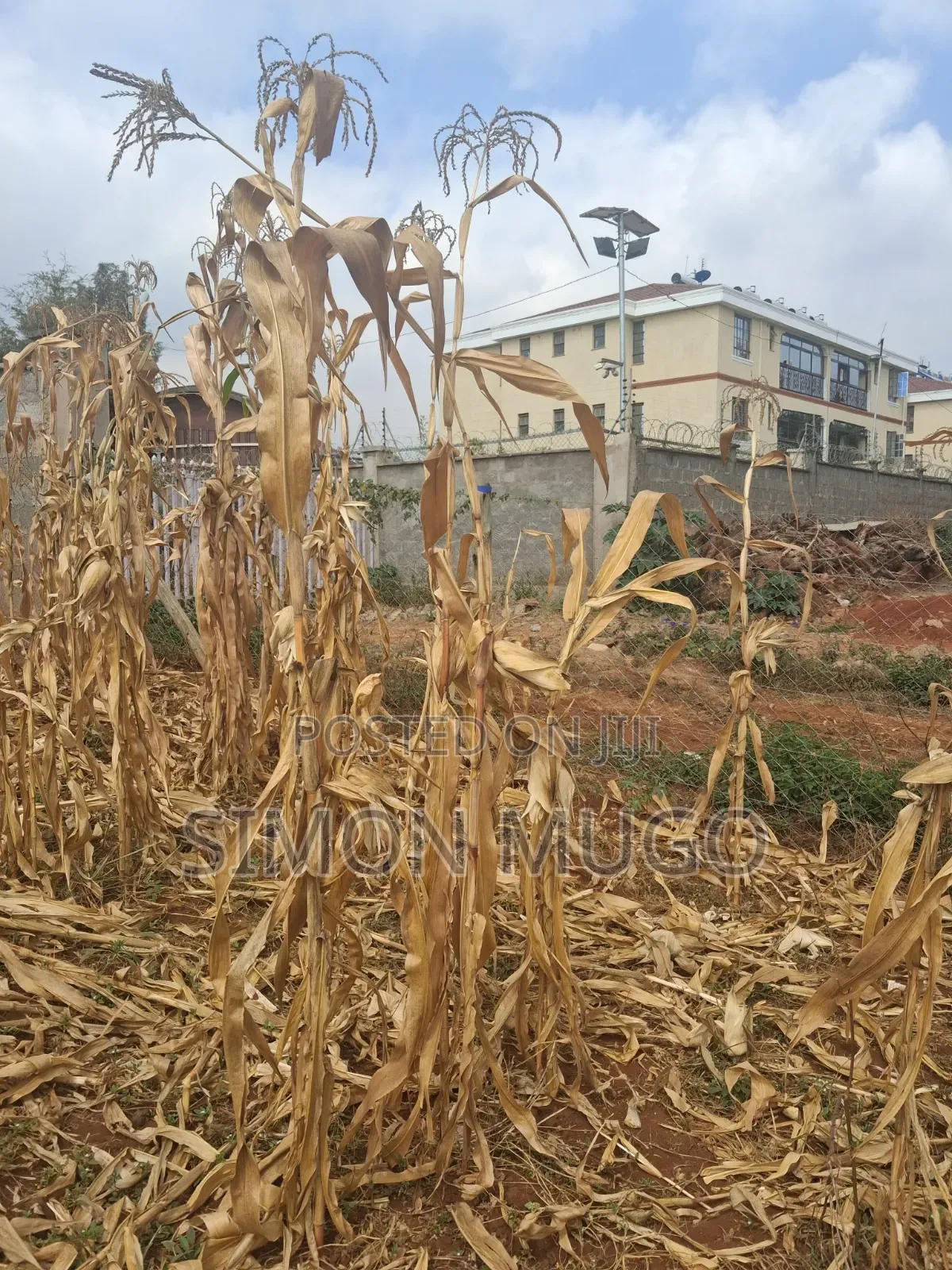 Valley View Kiambu Rd Prime Well Drained Red Soil 1/2 AC Corner Plot in Thindigua/Kasarini