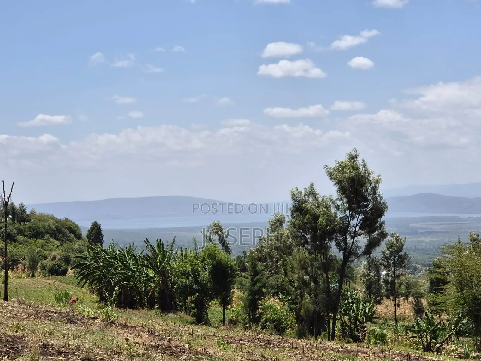 20ACRES for Sele in Nakuru Miti Mingi Near Isalaasha Campsite. in Teachers Estate
