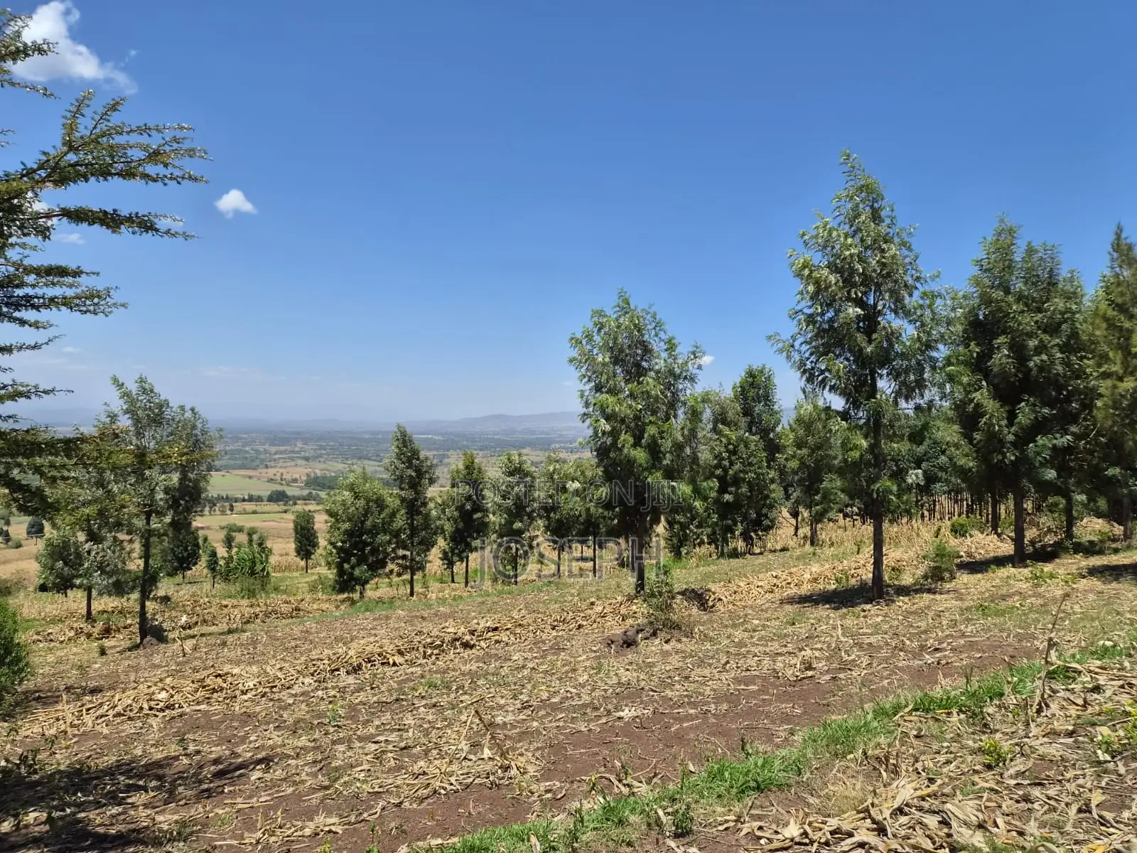20ACRES for Sele in Nakuru Miti Mingi Near Isalaasha Campsite. in Teachers Estate