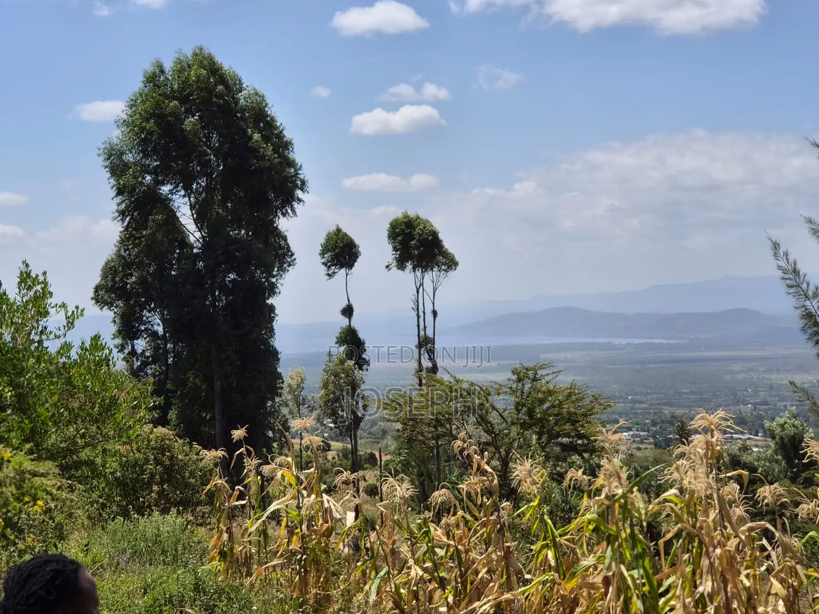 20ACRES for Sele in Nakuru Miti Mingi Near Isalaasha Campsite. in Teachers Estate