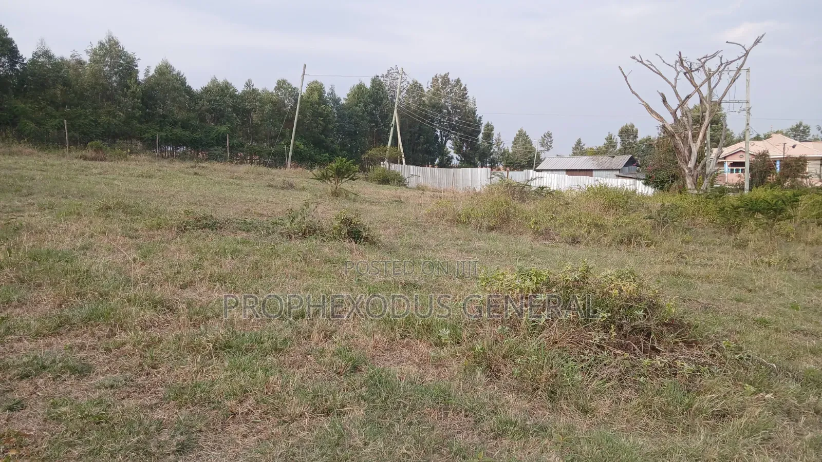 1/4 for Sale in Ongata Rongai, Kamura–Oloika Area in Nkoroi