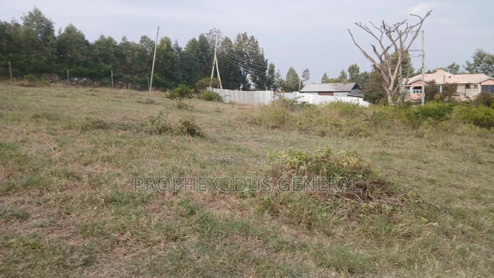 1/4 for Sale in Ongata Rongai, Kamura–Oloika Area in Nkoroi
