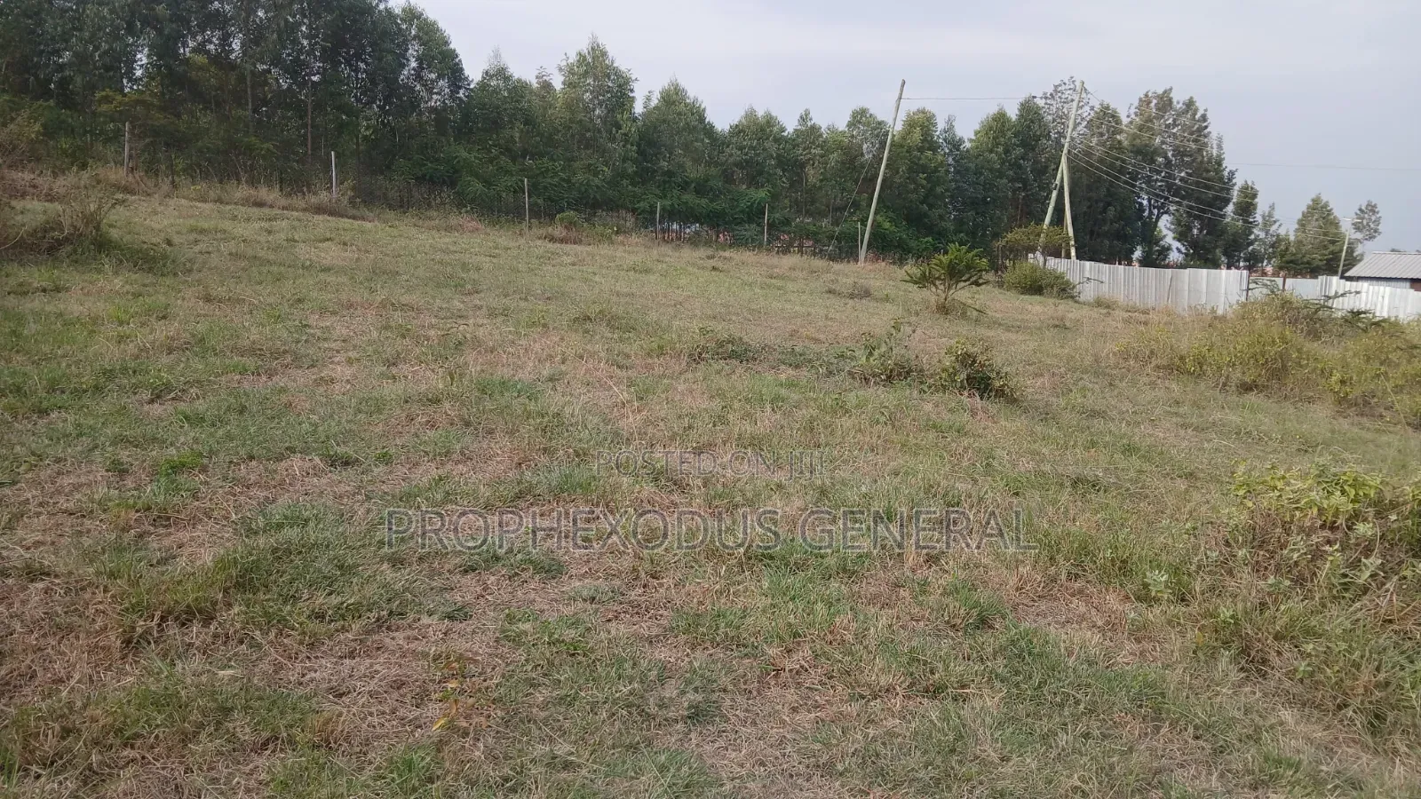 1/4 for Sale in Ongata Rongai, Kamura–Oloika Area in Nkoroi