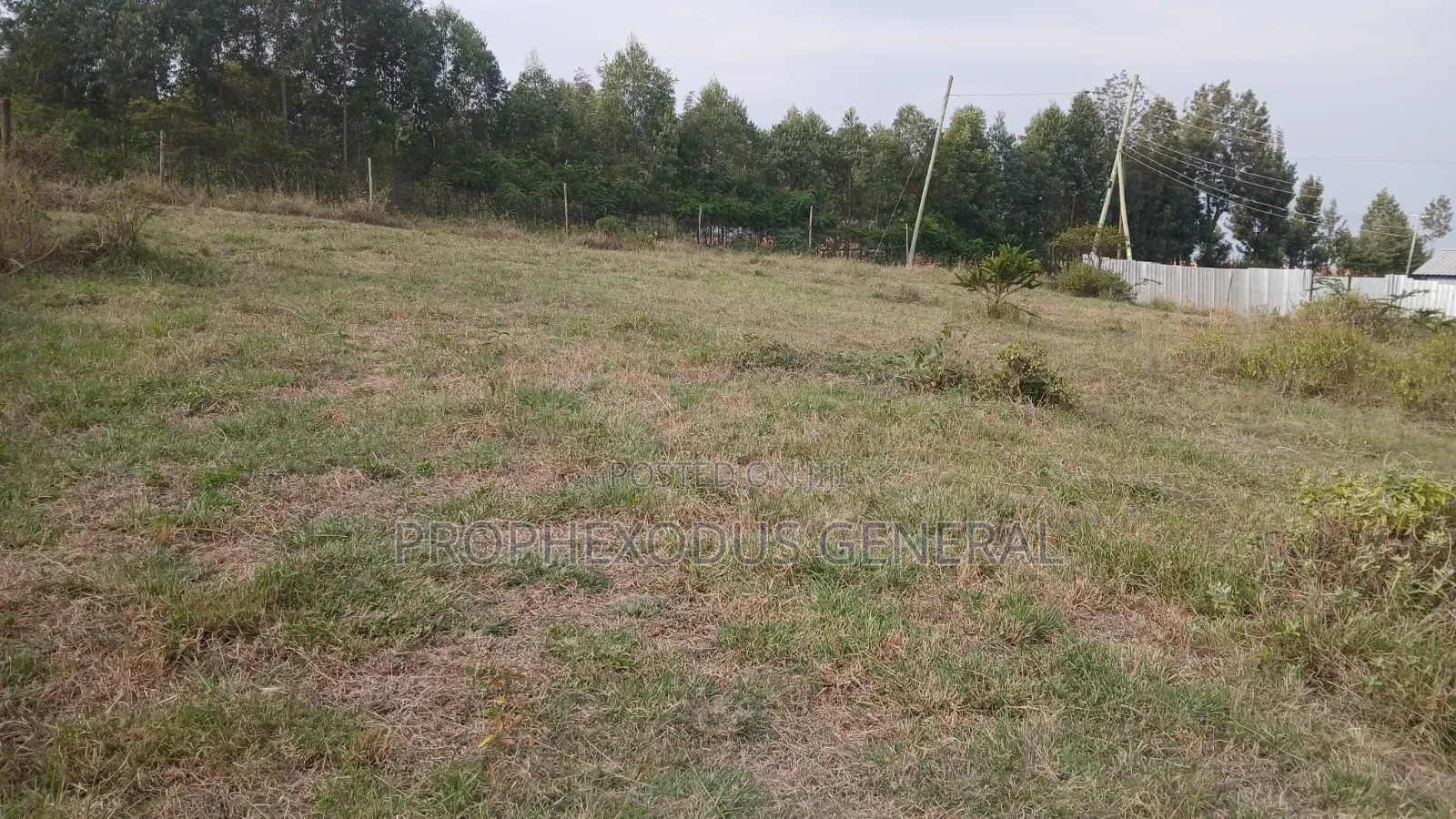 1/4 for Sale in Ongata Rongai, Kamura–Oloika Area in Nkoroi