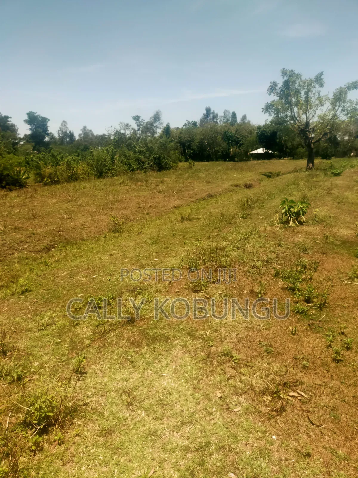 13⁄4 Acres Ojola Kadongo in Kadongo