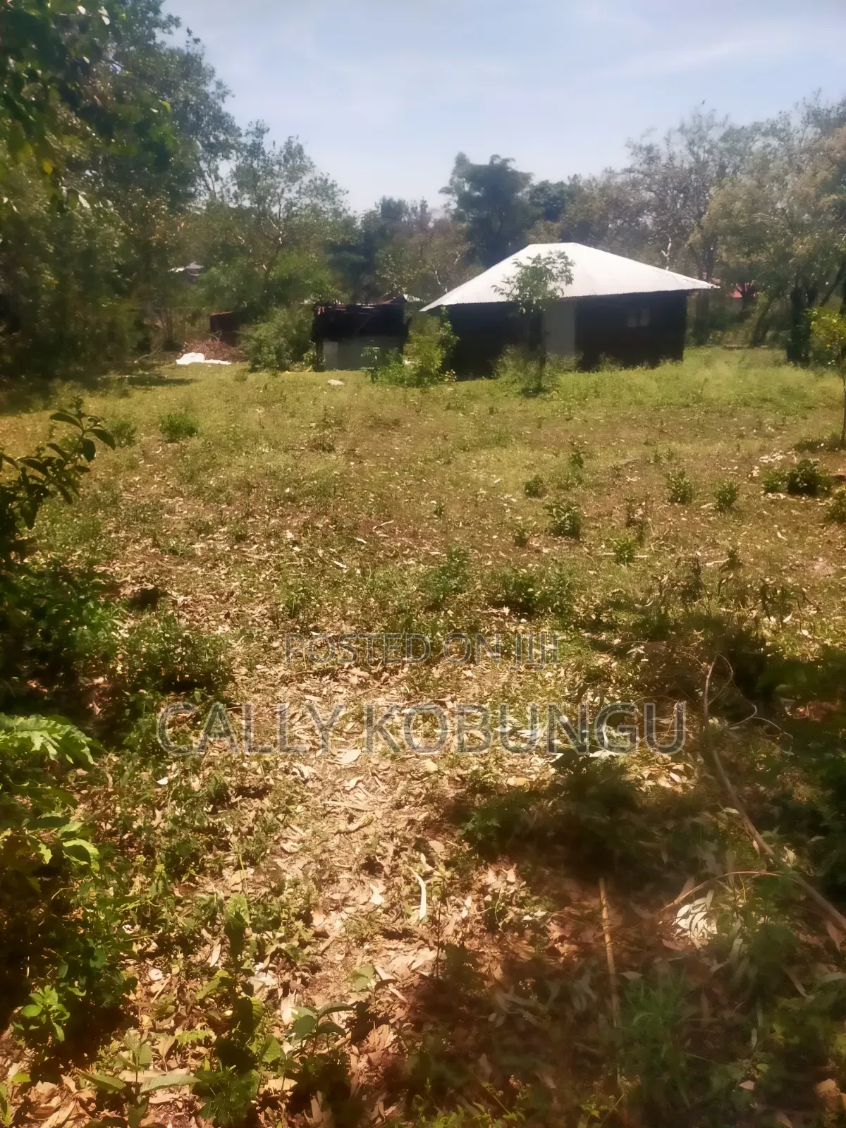 13⁄4 Acres Ojola Kadongo in Kadongo