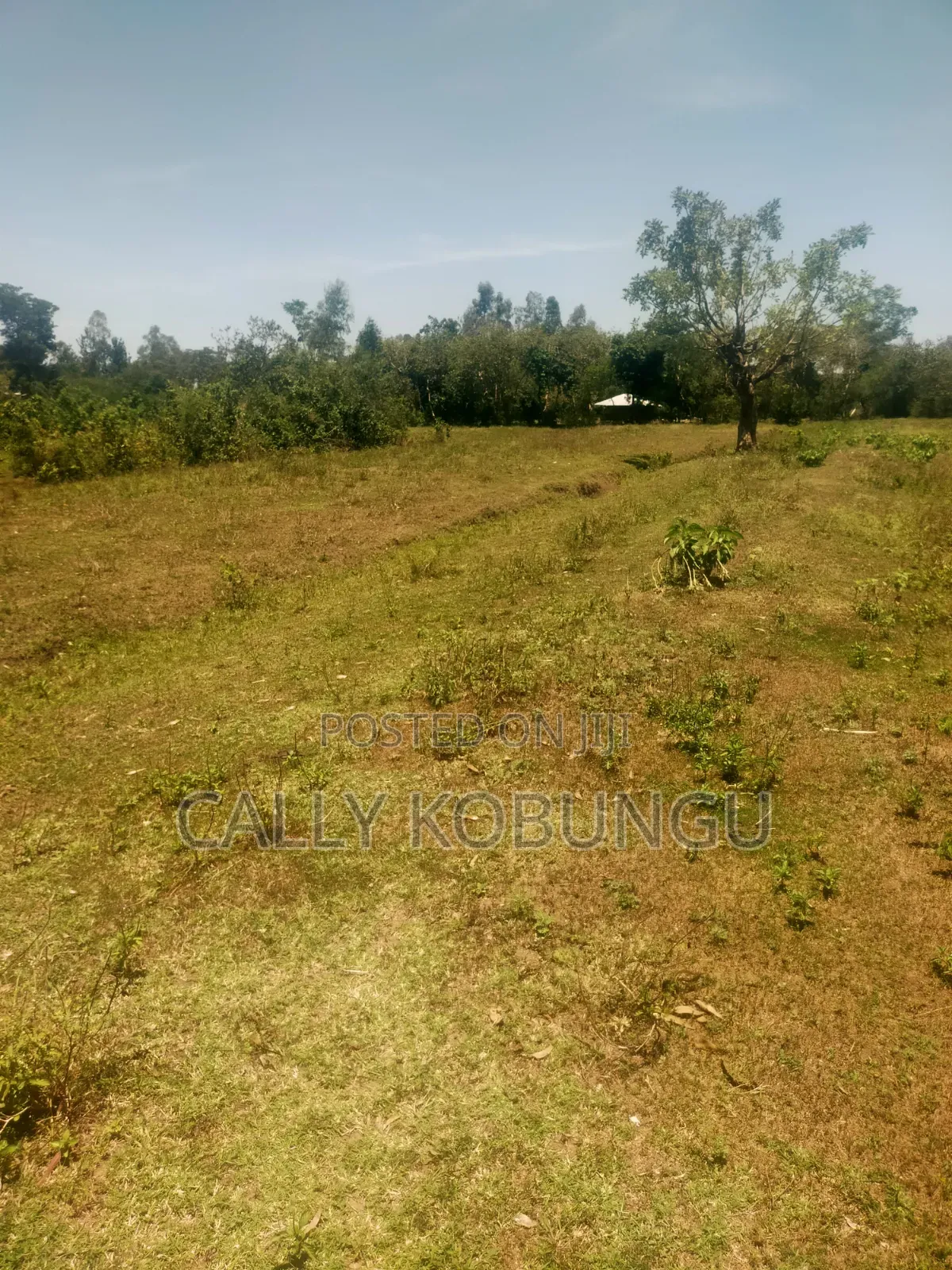 13⁄4 Acres Ojola Kadongo in Kadongo