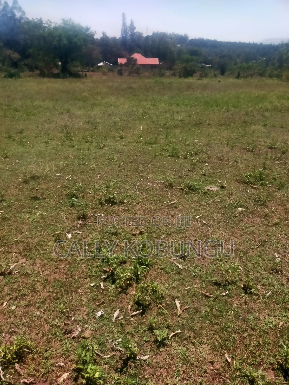 13⁄4 Acres Ojola Kadongo in Kadongo