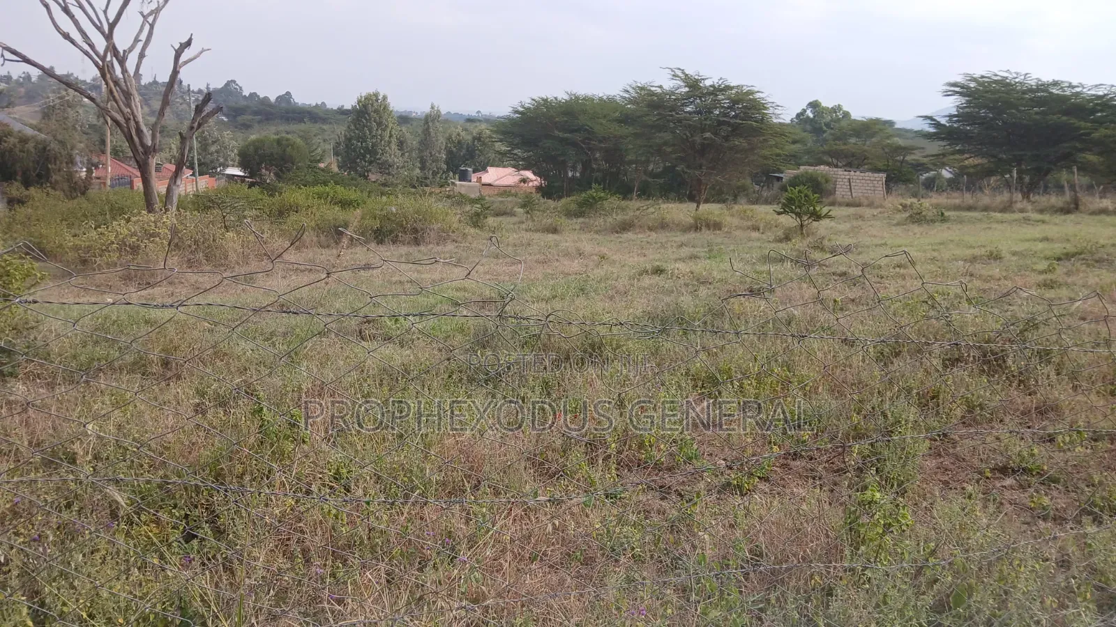 100ft by 100ft Prime Plots for Sale in Ongata Rongai Nkoroi Kamura in Nkoroi