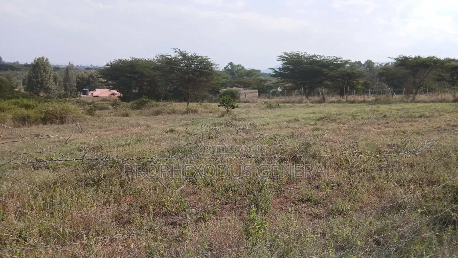 100ft by 100ft Prime Plots for Sale in Ongata Rongai Nkoroi Kamura in Nkoroi