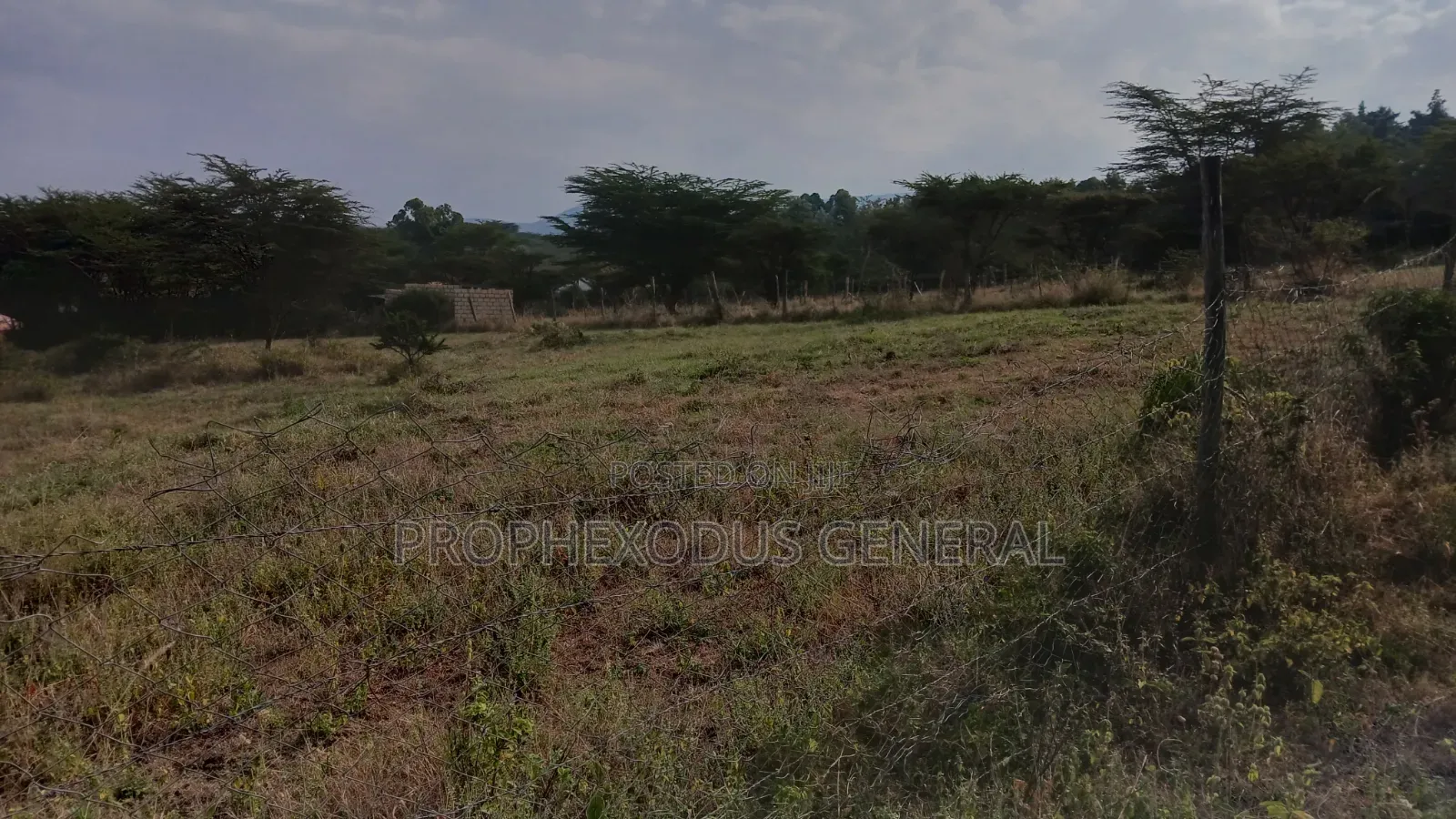 100ft by 100ft Prime Plots for Sale in Ongata Rongai Nkoroi Kamura in Nkoroi