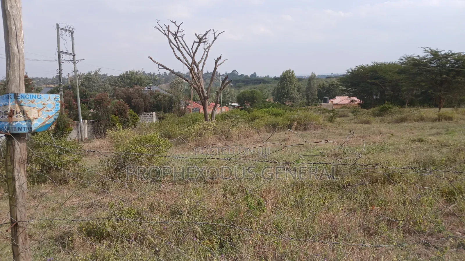 100ft by 100ft Prime Plots for Sale in Ongata Rongai Nkoroi Kamura in Nkoroi