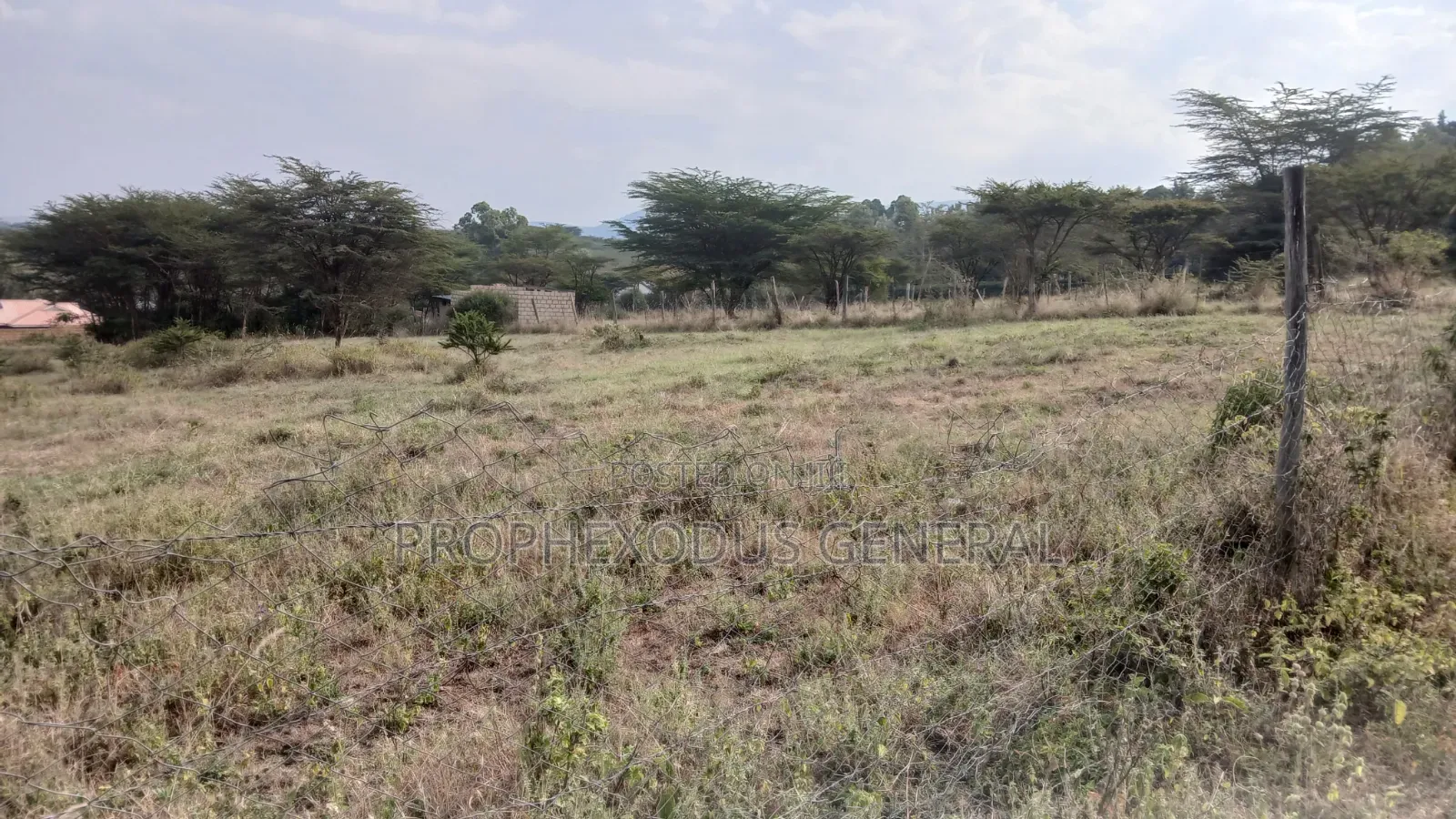 100ft by 100ft Prime Plots for Sale in Ongata Rongai Nkoroi Kamura in Nkoroi