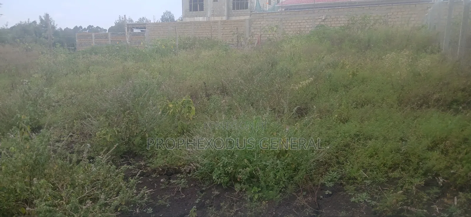 50ft by 100ft Prime Plots for Sale in O/Rongai Nkoroi Merisho Road. in Nkoroi