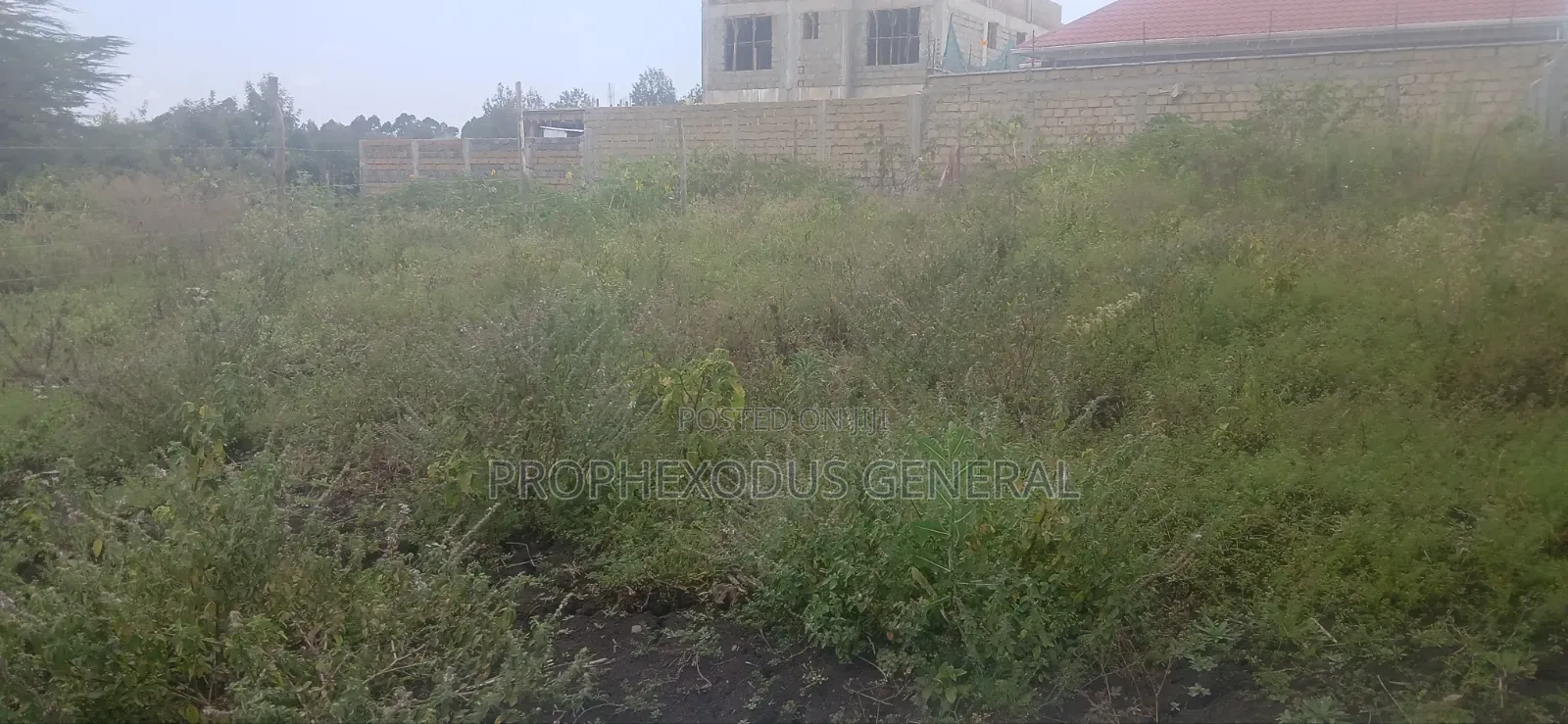 50ft by 100ft Prime Plots for Sale in O/Rongai Nkoroi Merisho Road. in Nkoroi