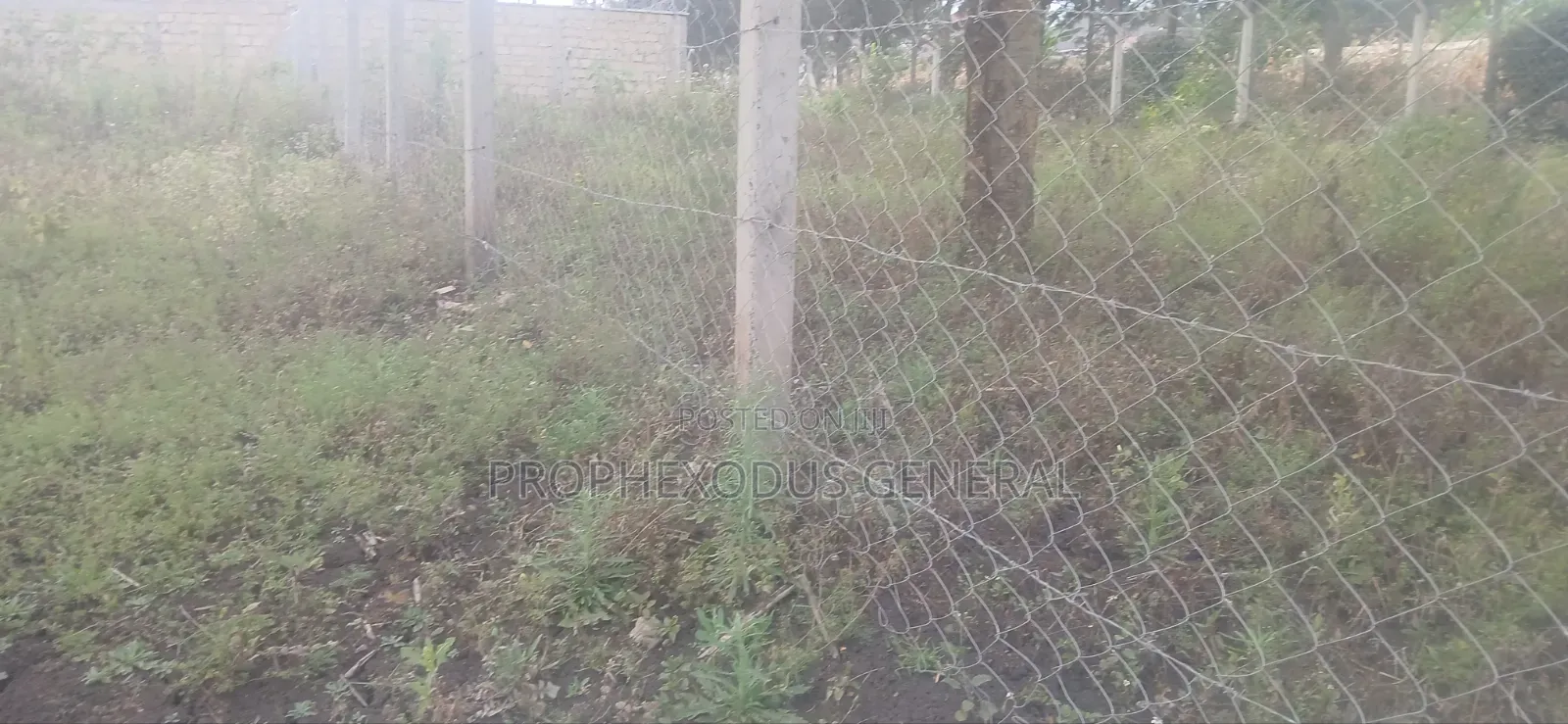 50ft by 100ft Prime Plots for Sale in O/Rongai Nkoroi Merisho Road. in Nkoroi