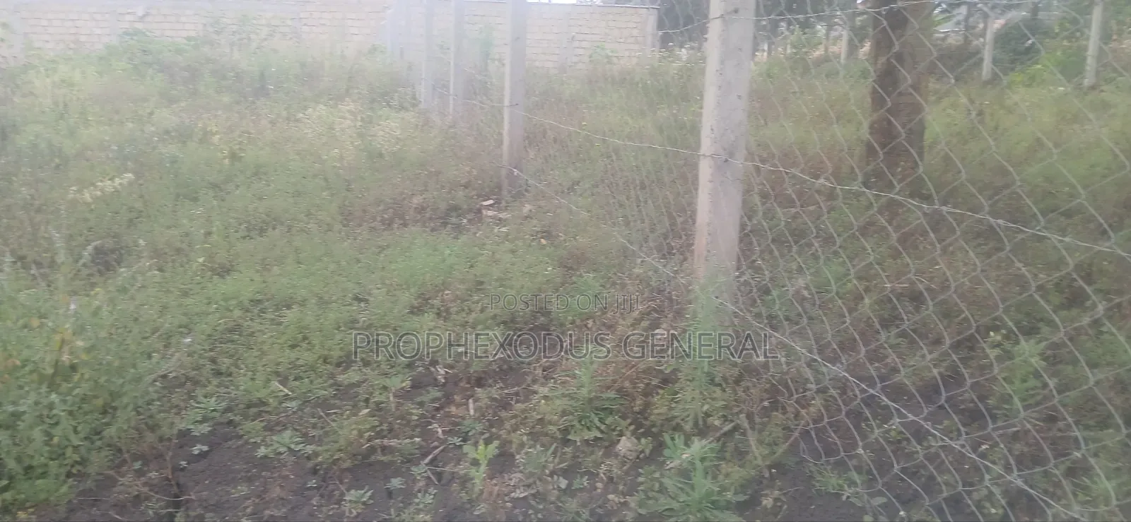 50ft by 100ft Prime Plots for Sale in O/Rongai Nkoroi Merisho Road. in Nkoroi
