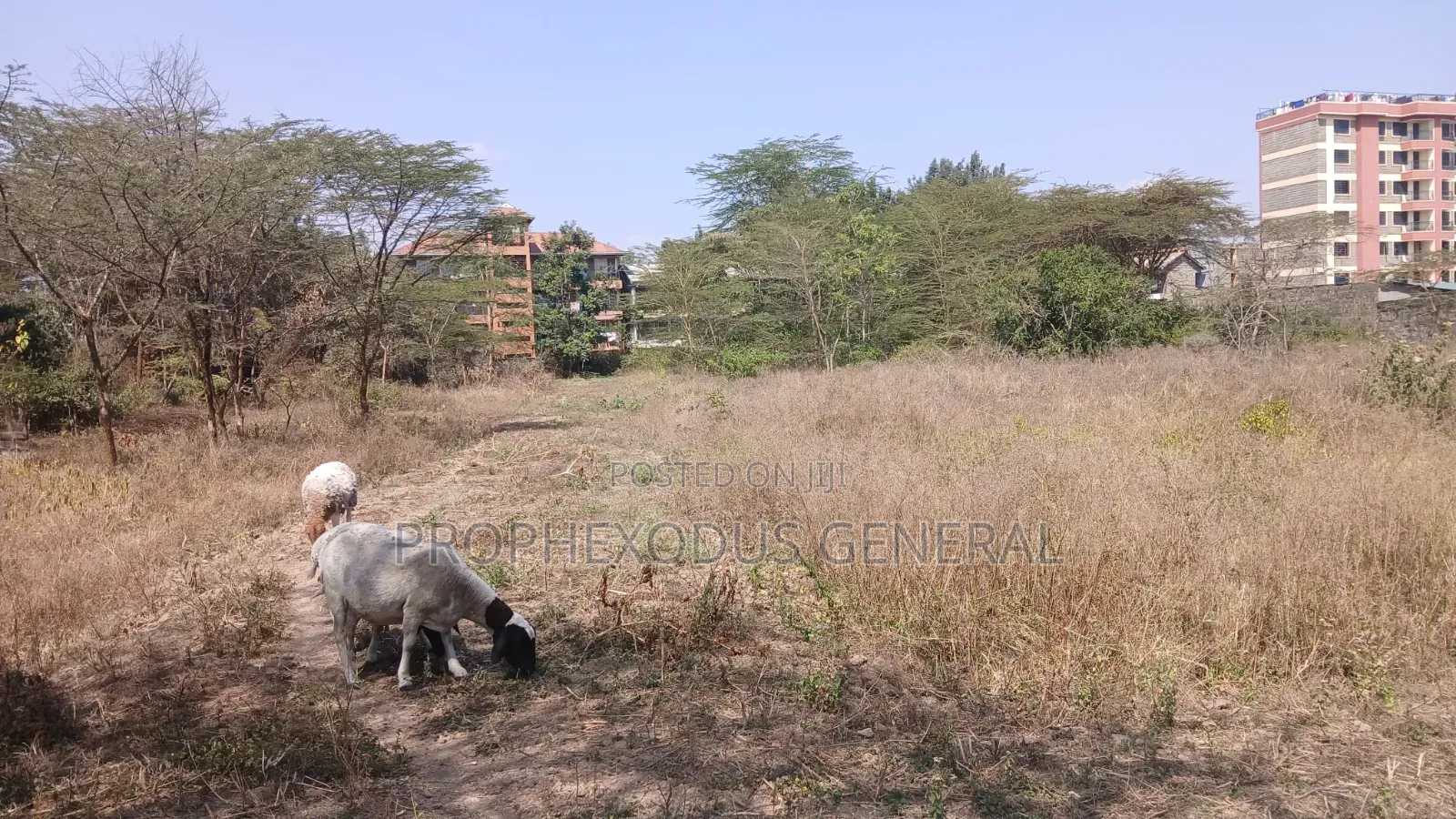 1/4 Acre Commercial Plots for Sale in Ongata Rongai Town. in Nkoroi
