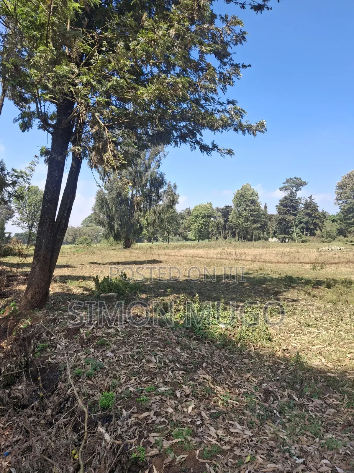 Limuru Rironi Prime 5 Acres in Thindigua/Kasarini