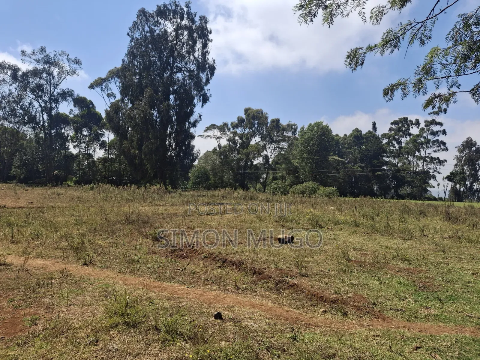 Limuru Rironi Prime 5 Acres in Thindigua/Kasarini