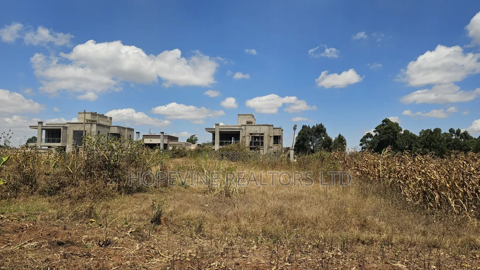 Kikuyu Prime Plots for Sale in Thogoto