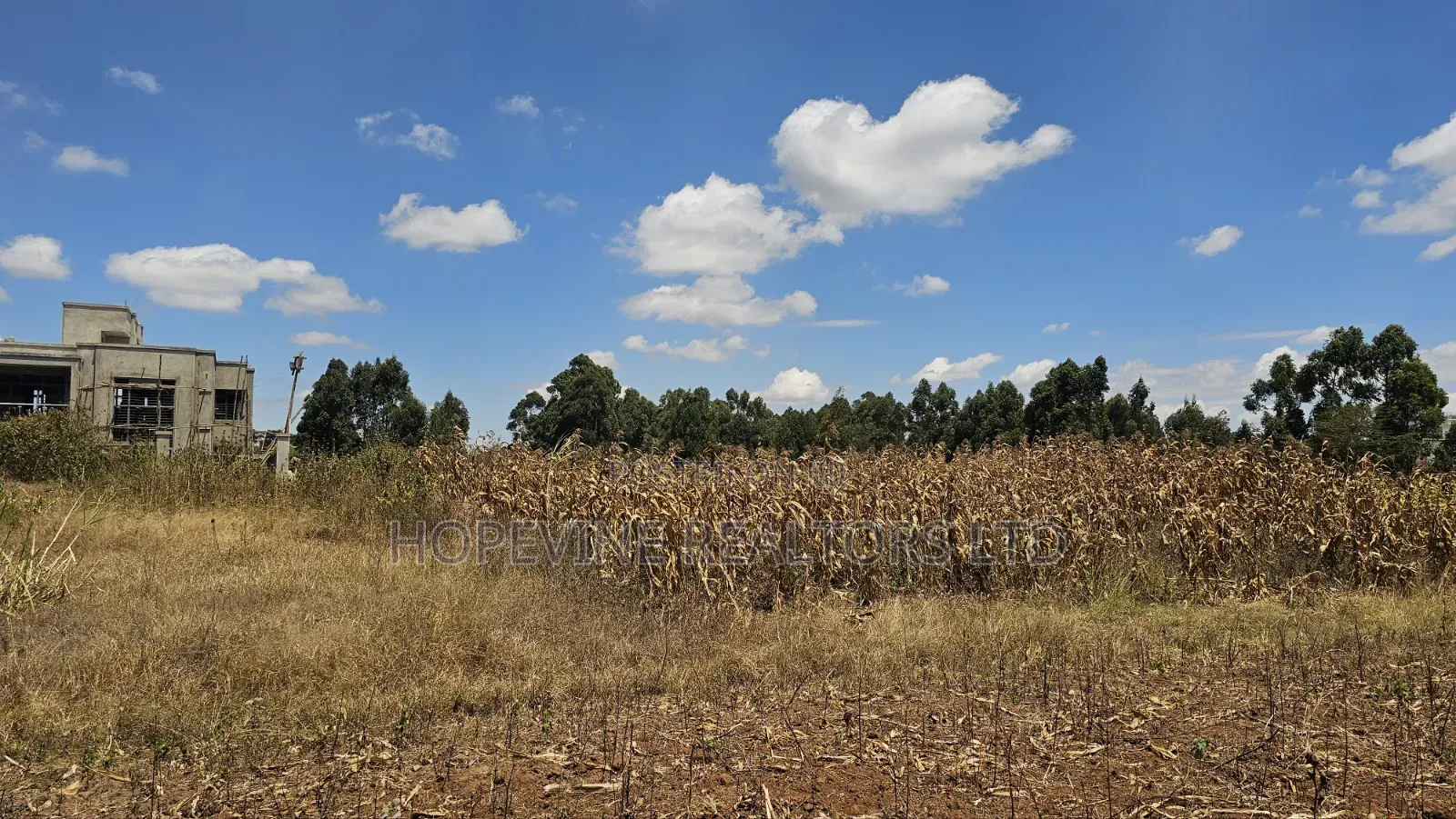 Kikuyu Prime Plots for Sale in Thogoto
