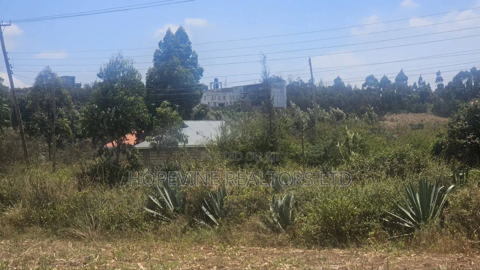 Gikambura Plots for Sale in Thogoto