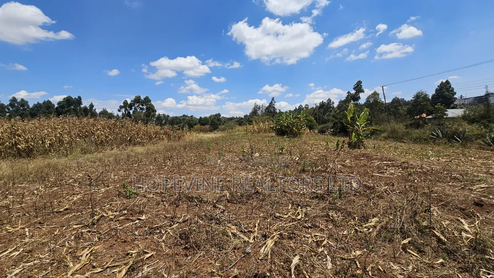 Gikambura Plots for Sale in Thogoto