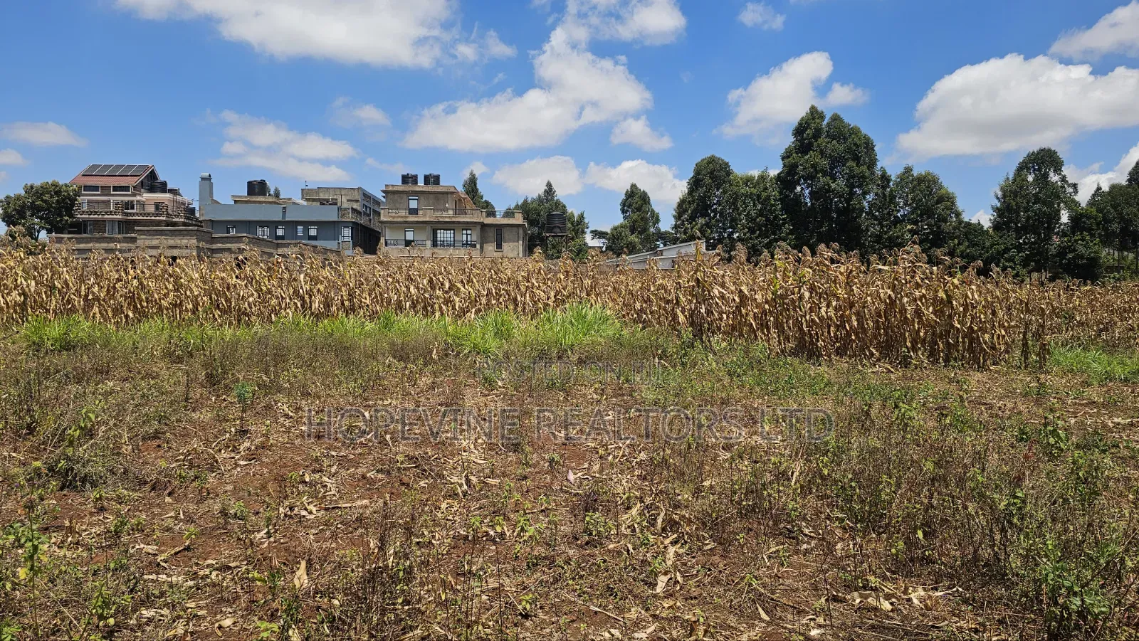 Gikambura Plots for Sale in Thogoto