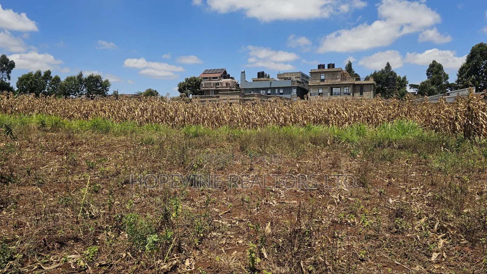 Gikambura Plots for Sale in Thogoto