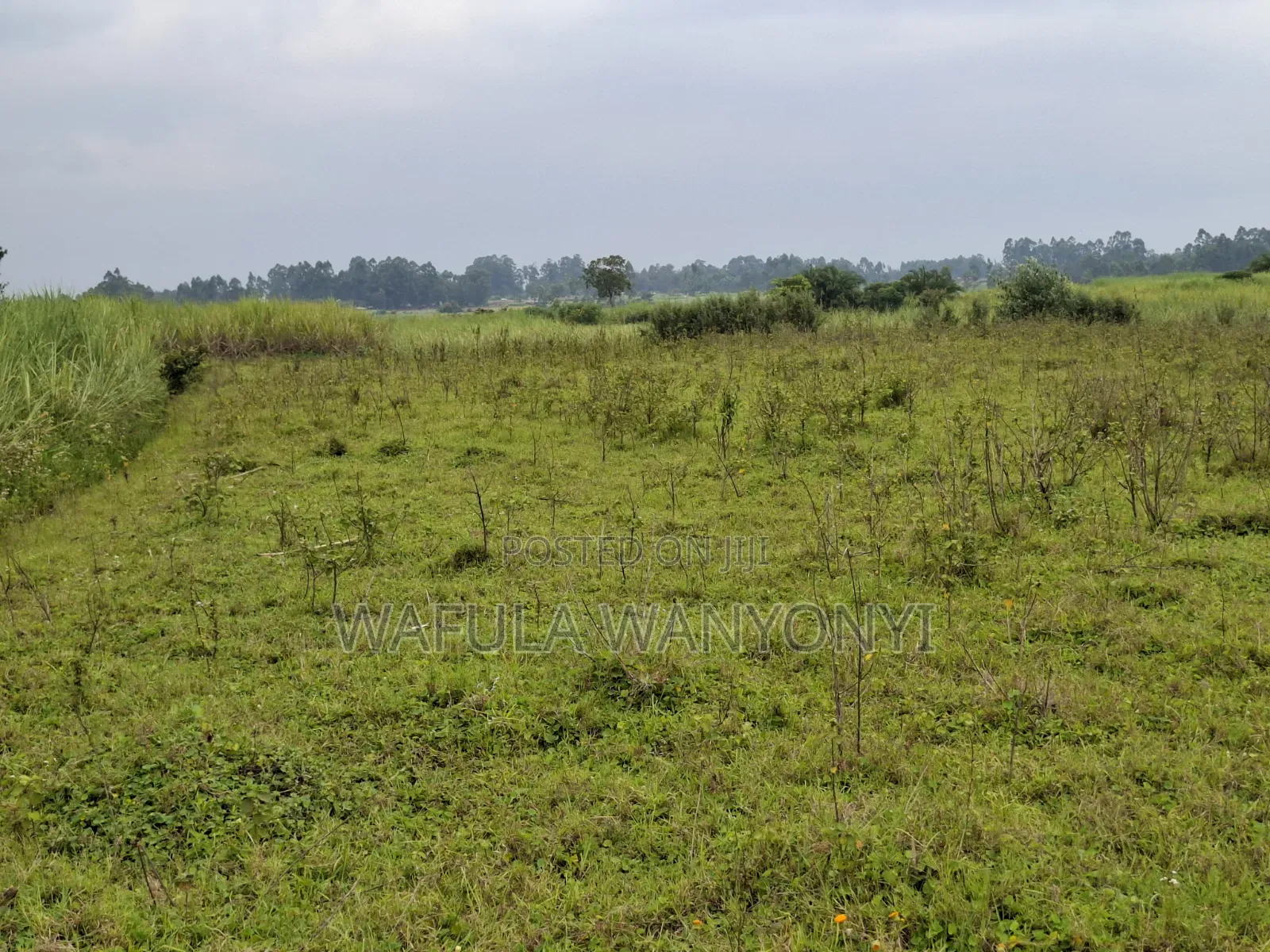 4 Acres KHALUMULI in Matulo
