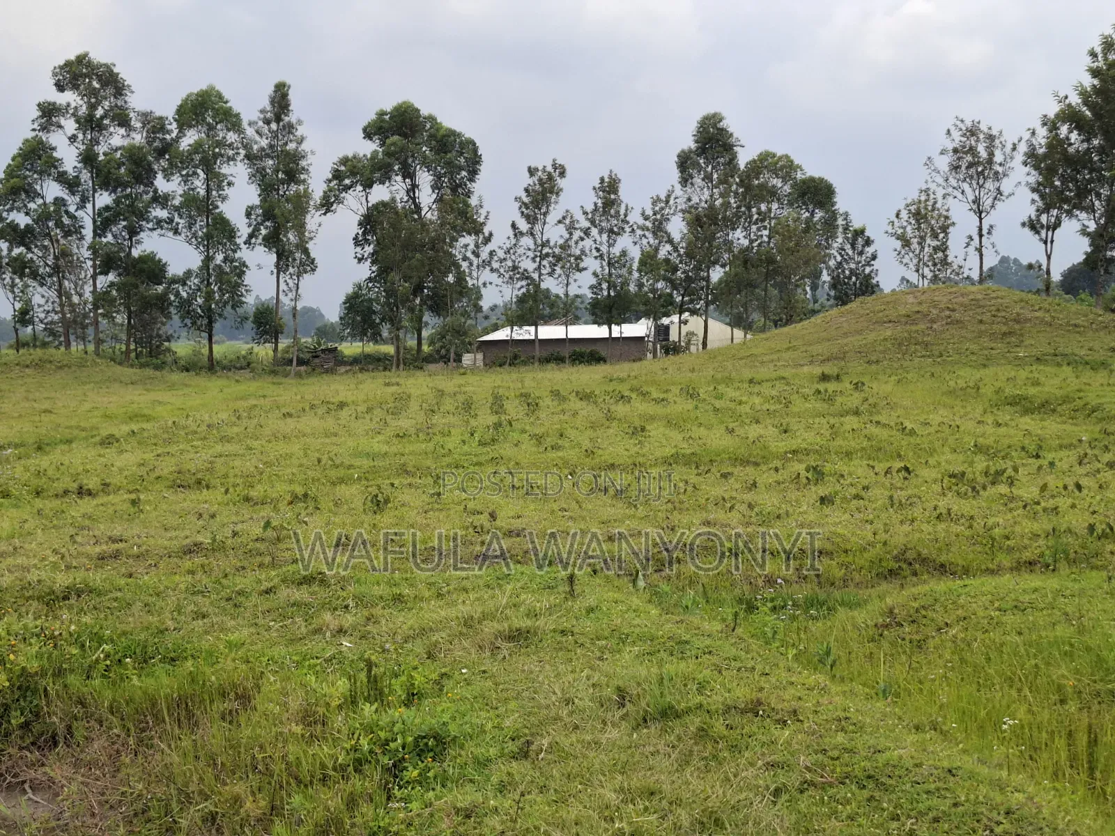 4 Acres KHALUMULI in Matulo
