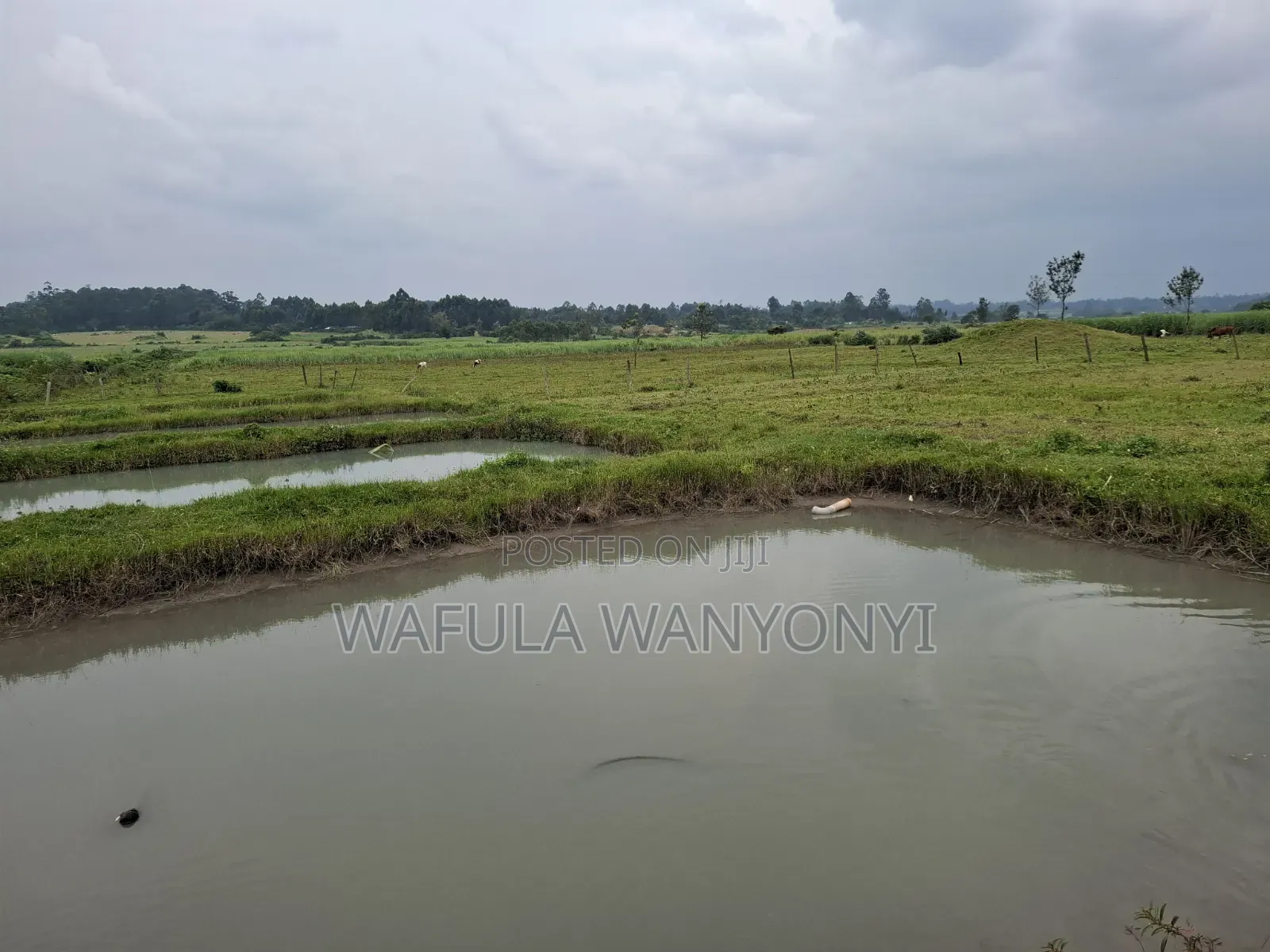 4 Acres KHALUMULI in Matulo
