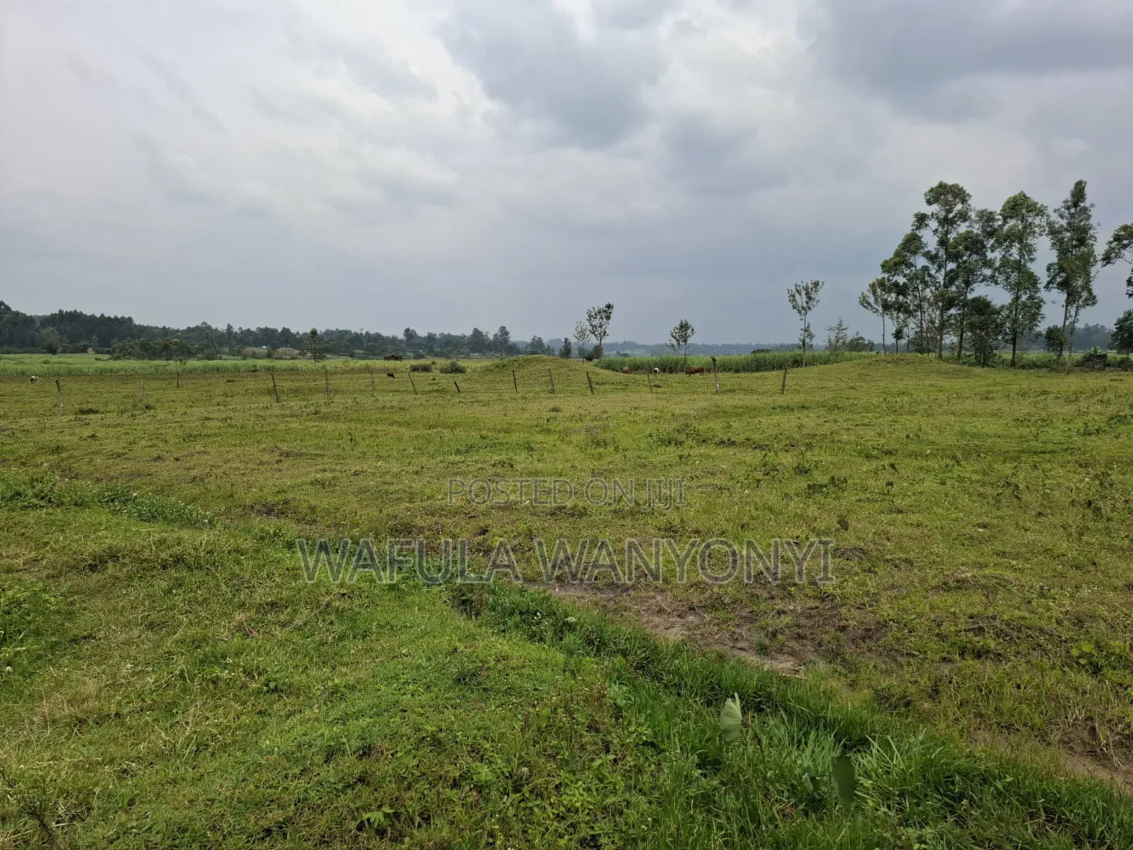 4 Acres KHALUMULI in Matulo