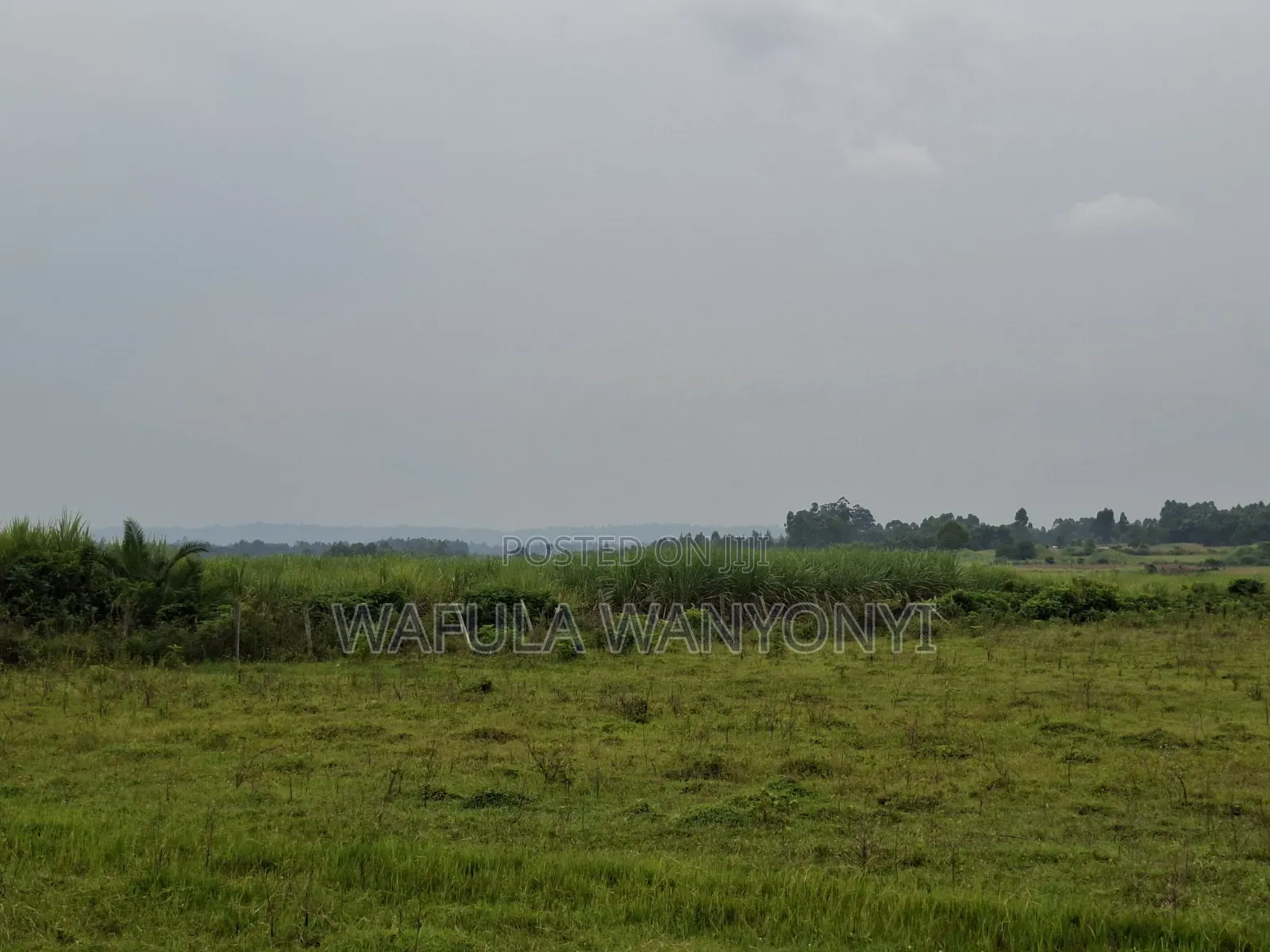 4 Acres KHALUMULI in Matulo