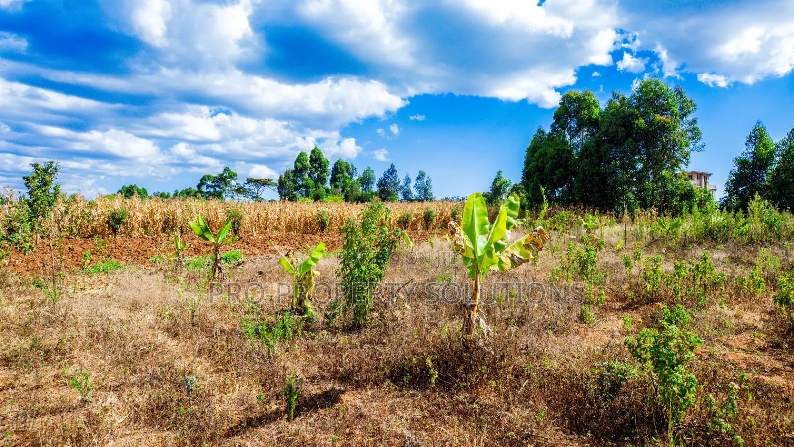 Prime Residential Plot for Sale in Kikuyu, Ng'amba in Kikuyu