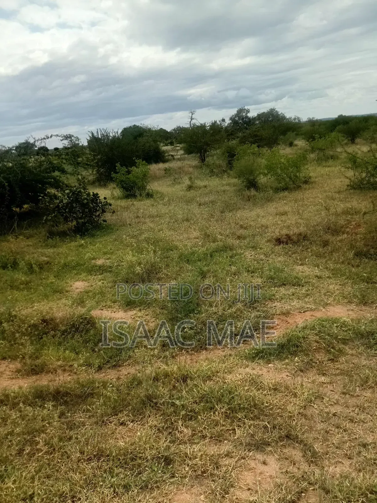 14 Acre for Sale at Malindi Sosobora Area in Jilore
