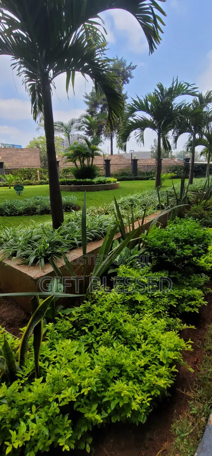 Elegant 1bedroom AIRBNB Kileleshhwa in Kileleshwa