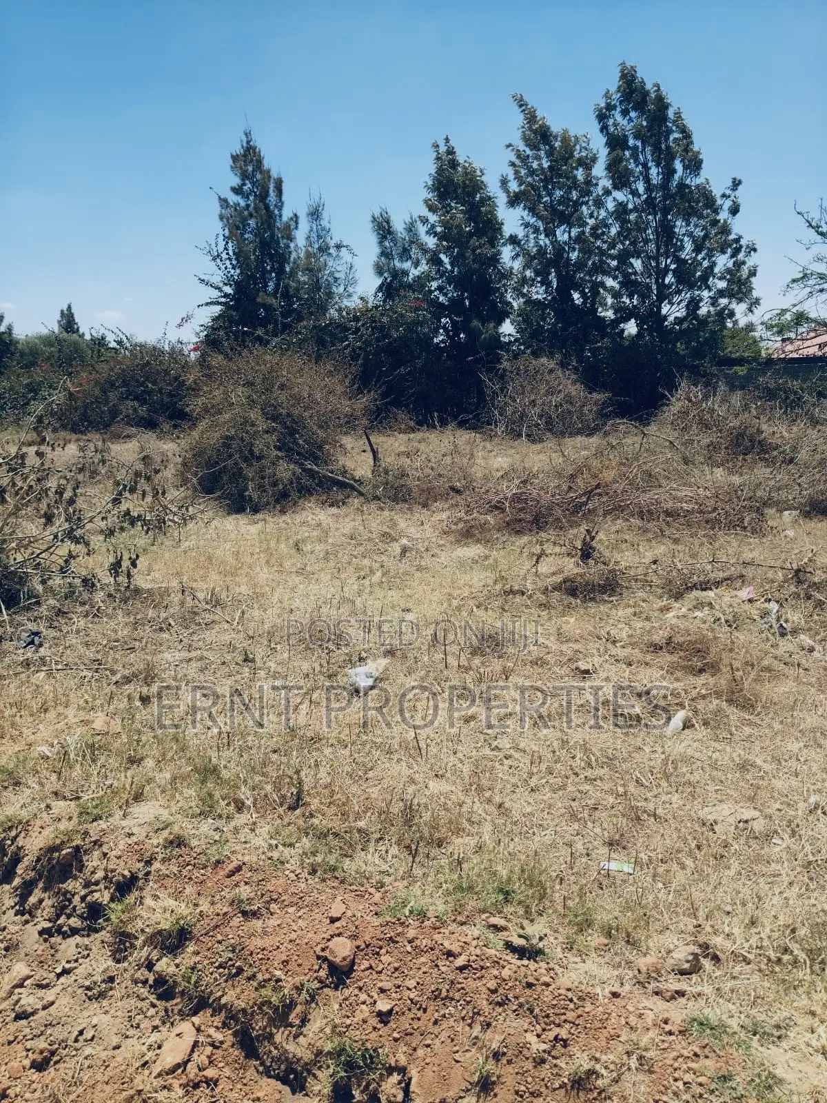 Kitengela Muigai Estate | Roadfront 50×100 @ KSH 2.7m in Kitengela