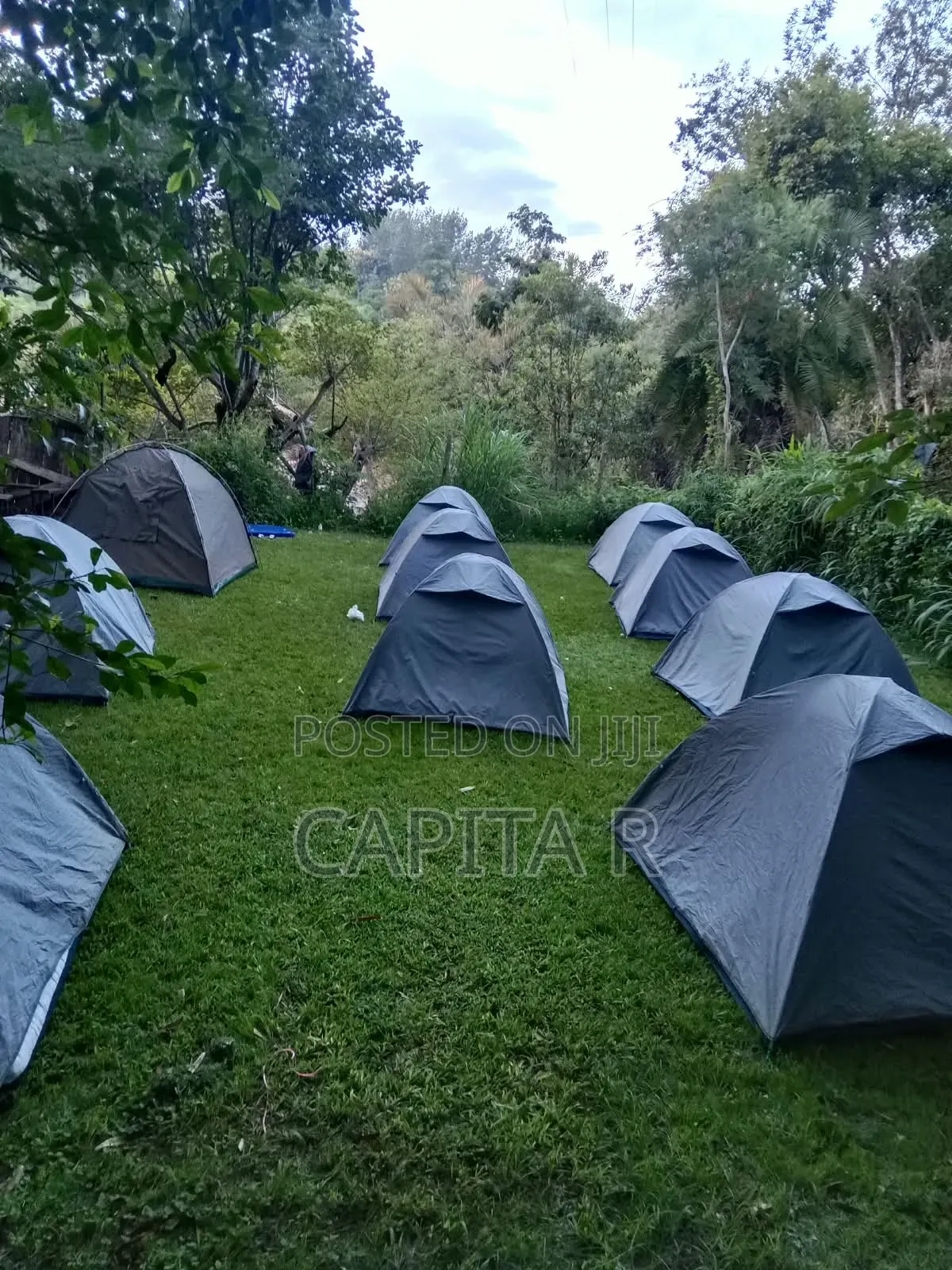 Monkey Resort in Township G