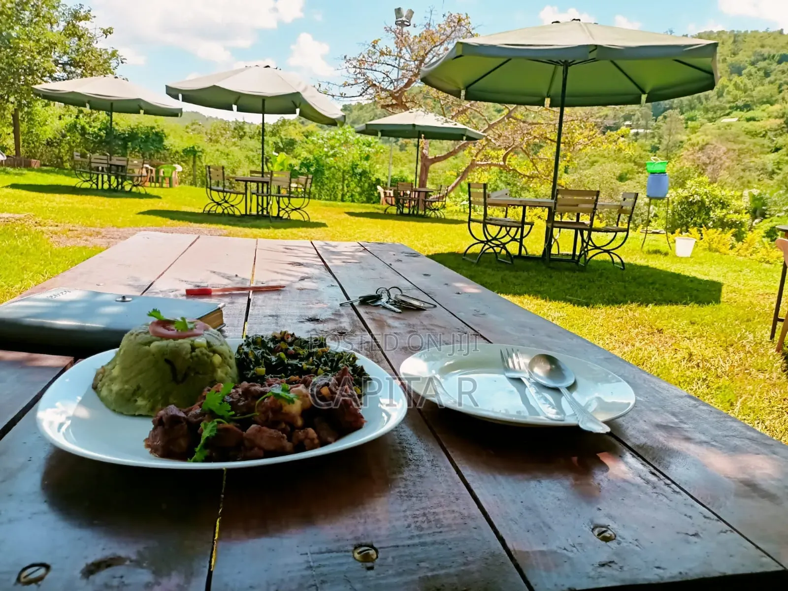 Monkey Resort in Township G