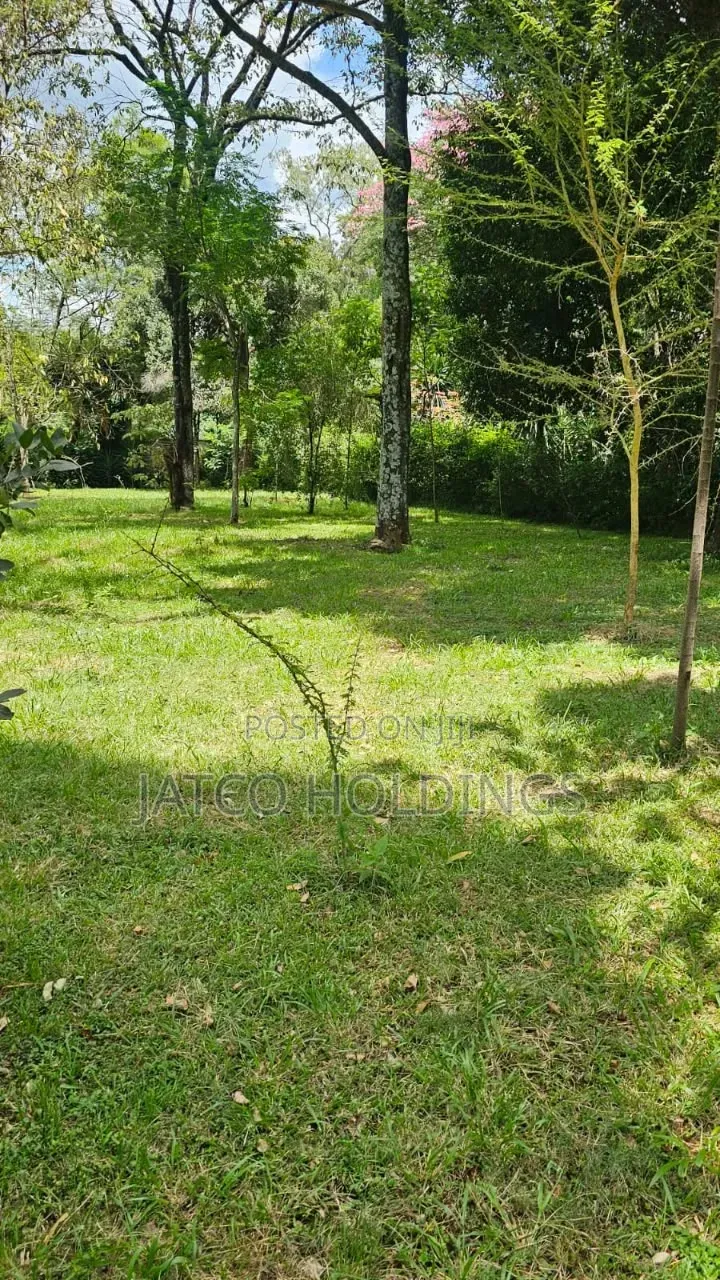 Land 5 Acres Karen for Sale Miotoni in Hardy