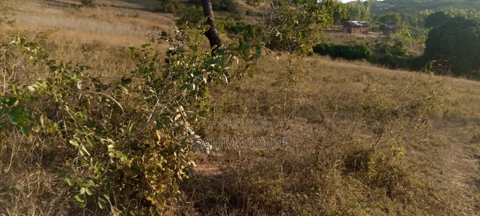 Land on Sale Matuga Voroni 2 Acres 850,000pre Acre in Waa