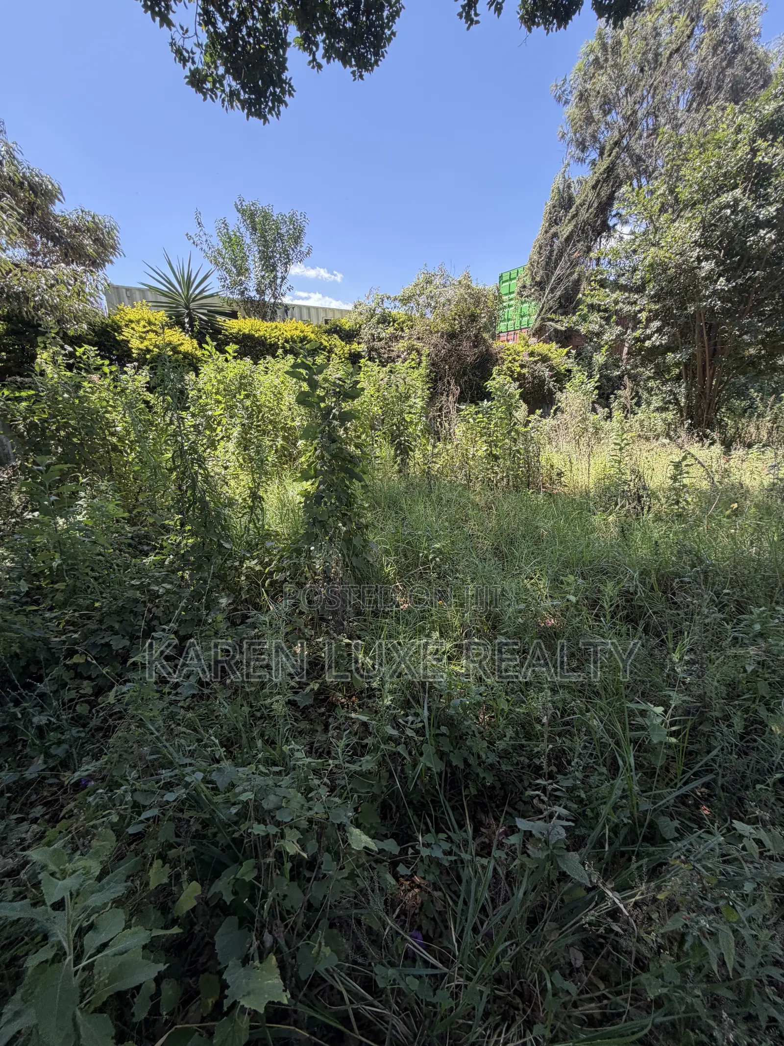 Karen 1/2acre for Rent Touching Ngong Road in Karen