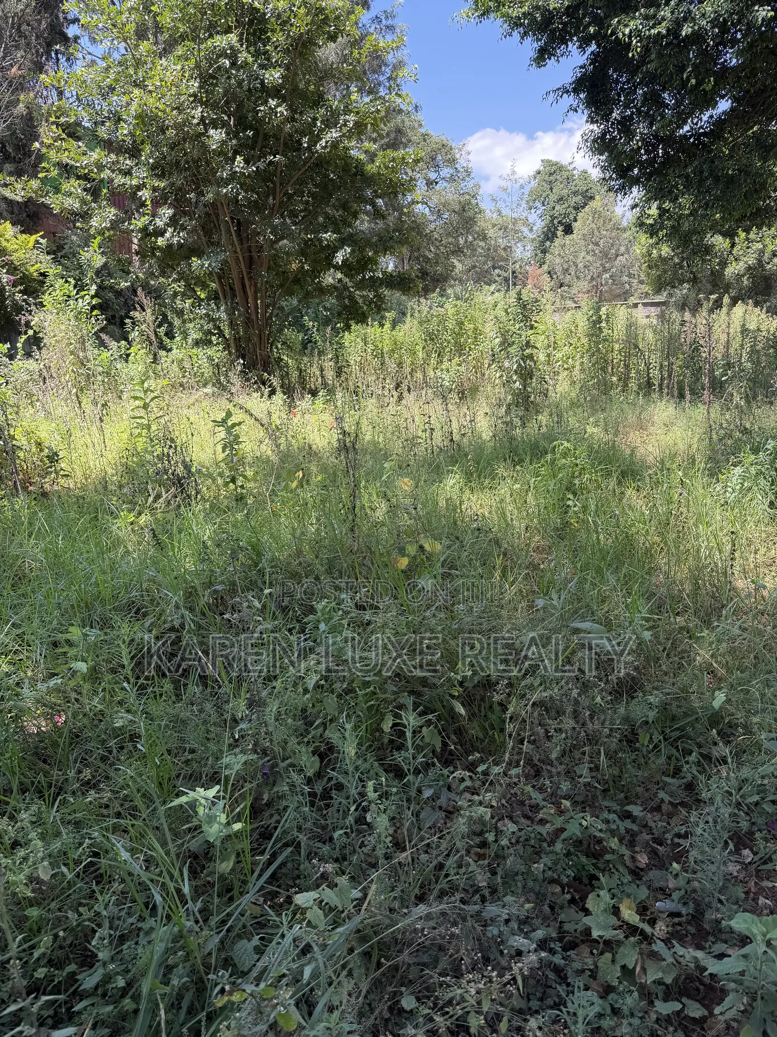 Karen 1/2acre for Rent Touching Ngong Road in Karen