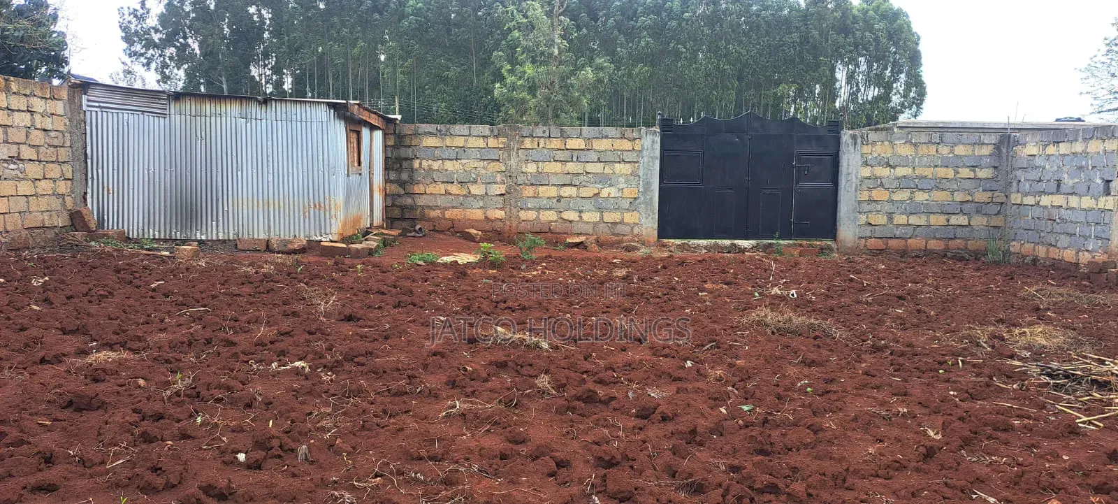 Ruiru Mugutha Plot for Sale in Kimbo