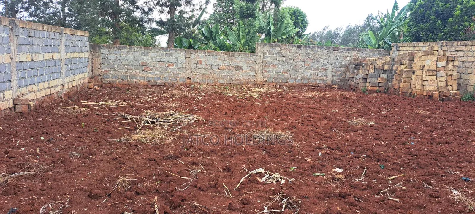 Ruiru Mugutha Plot for Sale in Kimbo