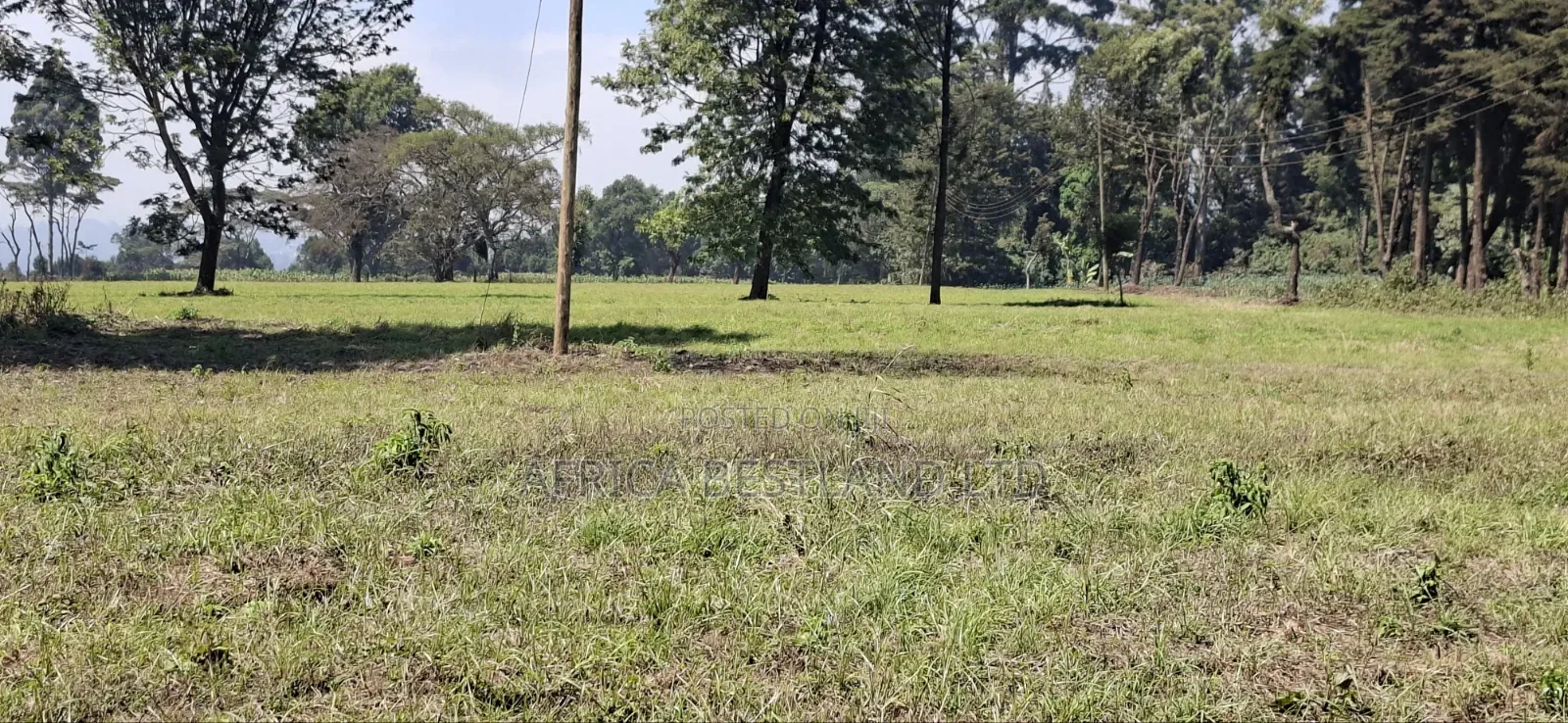 5 Acres Prime Development Land – Tilisi, Kiambu in Tigoni