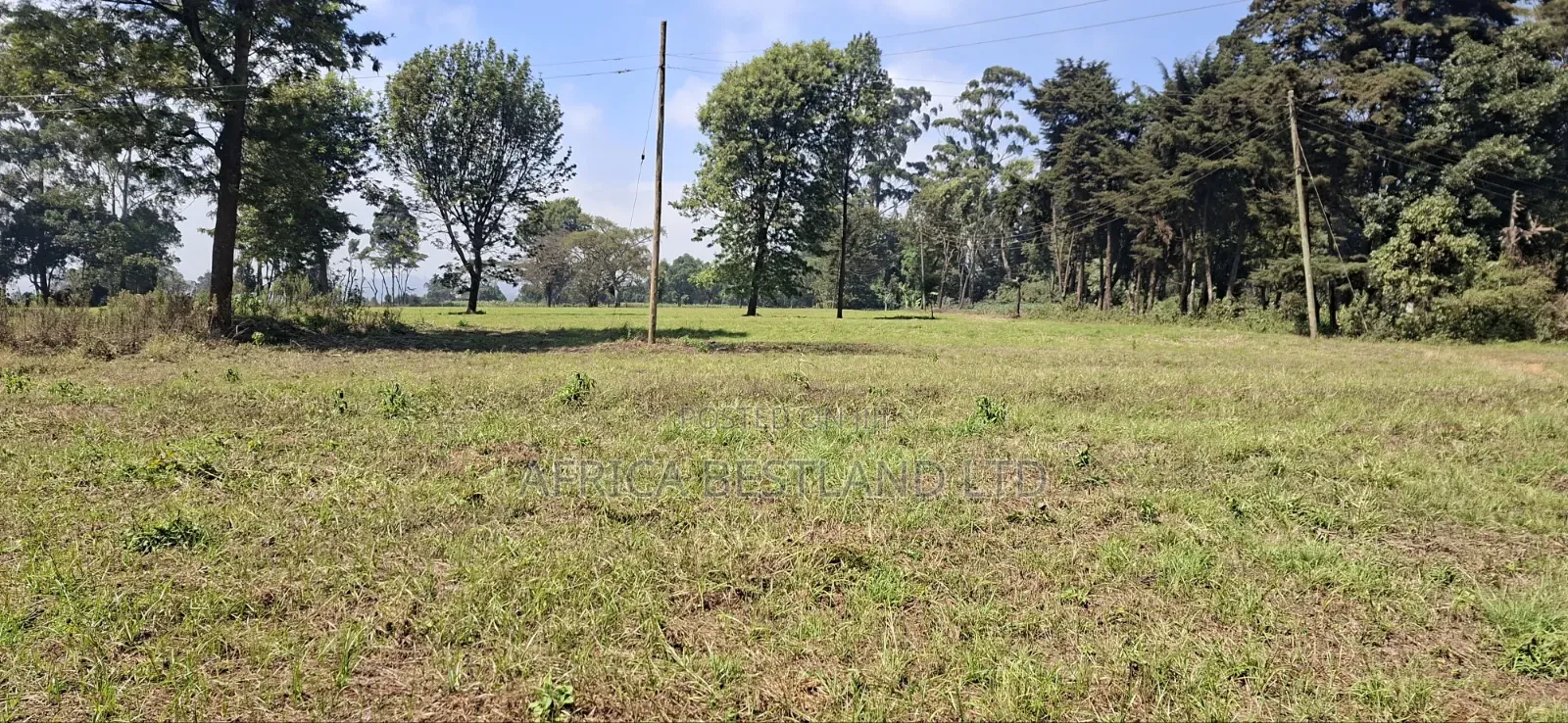 5 Acres Prime Development Land – Tilisi, Kiambu in Tigoni